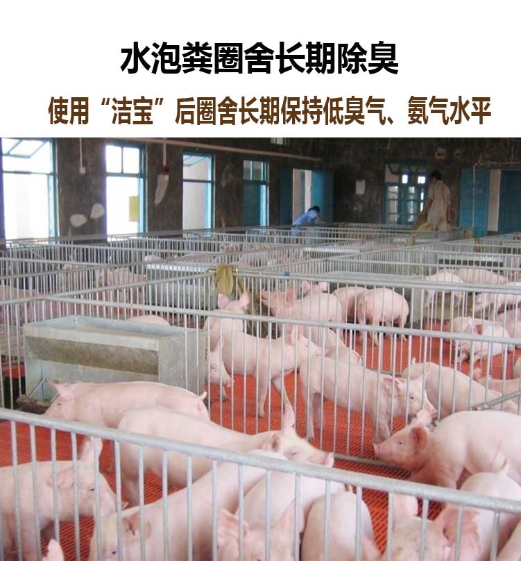 北京猪舍除臭